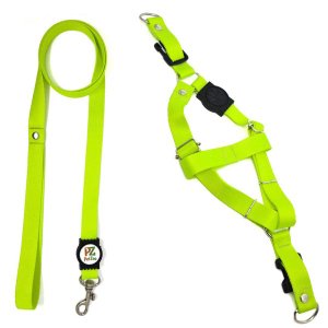 Conjunto peitoral e guia para cachorro - Tamanho Grande - Modelo Neon