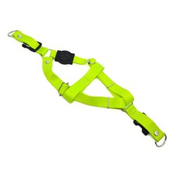 Conjunto peitoral e guia para cachorro - Tamanho Grande - Modelo Neon - 4