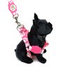 Conjunto Peitoral e Guia para Cachorro - Tamanho Pequeno - Modelo Pata Rosa - 2