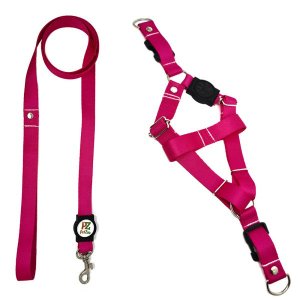 Conjunto peitoral e guia para cachorro - Tamanho Médio - Modelo Pink