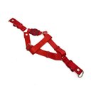 Ver imagem 4 de Conjunto Peitoral e Guia para Cachorro - Tamanho Médio - Modelo Red