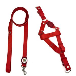Conjunto peitoral e guia para cachorro - Tamanho Médio - Modelo Red