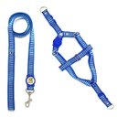 Ver imagem 1 de Conjunto Peitoral e Guia para Cachorro - Tamanho Médio - Modelo Listrado Azul