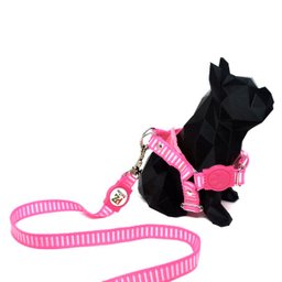 Conjunto peitoral e guia para cachorro - Tamanho Pequeno - Modelo Listrado Rosa - 3