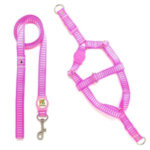 Conjunto peitoral e guia para cachorro - Tamanho Pequeno - Modelo Listrado Rosa