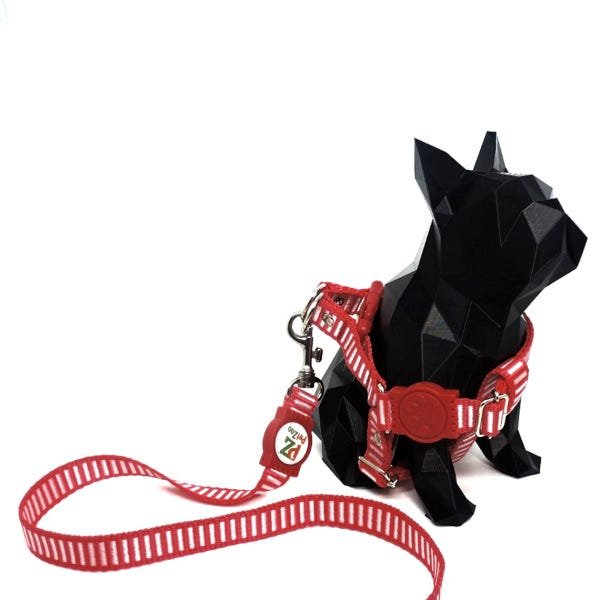 Conjunto peitoral e guia para cachorro - Tamanho Médio - Modelo Listrado Vermelho - 3