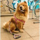 Ver imagem 4 de Peitoral para Cachorro - Tamanho Gg - Básico Rosa