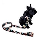 Ver imagem 2 de Conjunto Coleira e Guia para Cachorro - Tamanho Médio - Modelo Abstrata