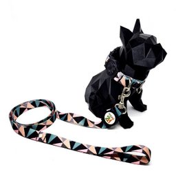 Conjunto coleira e guia para cachorro - Tamanho Grande - Modelo Abstrata - 2