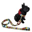 Ver imagem 2 de Conjunto Coleira e Guia para Cachorro - Tamanho Pequeno - Modelo Afrika