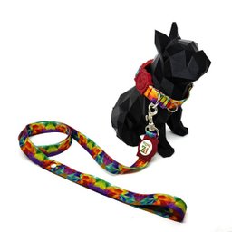 Conjunto coleira e guia para cachorro - Tamanho Grande - Modelo Aquarela - 2