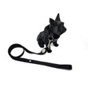 Ver imagem 2 de Conjunto Coleira e Guia para Cachorro - Tamanho Pequeno - Modelo Black