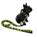 Ver imagem 2 de Conjunto Coleira e Guia para Cachorro - Tamanho Pequeno - Modelo Exercito