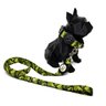 Conjunto coleira e guia para cachorro - Tamanho Médio - Modelo Exercito - 2