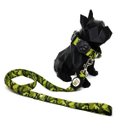 Ver imagem 2 de Conjunto Coleira e Guia para Cachorro - Tamanho Médio - Modelo Exercito