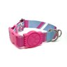 Conjunto coleira e guia para cachorro - Tamanho Pequeno - Modelo Flamingo - 3
