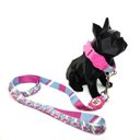 Ver imagem 2 de Conjunto Coleira e Guia para Cachorro - Tamanho Médio - Modelo Flamingo