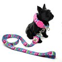 Ver imagem 2 de Conjunto Coleira e Guia para Cachorro - Tamanho Médio - Modelo Flores