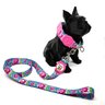 Conjunto coleira e guia para cachorro - Tamanho Grande - Modelo Flores - 2