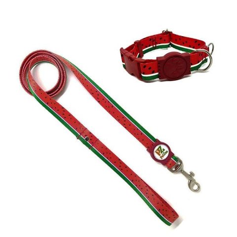 Conjunto Coleira e Guia para Cachorro - Tamanho Pequeno - Modelo Melancia