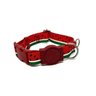 Conjunto coleira e guia para cachorro - Tamanho Grande - Modelo Melancia - 3