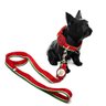 Conjunto coleira e guia para cachorro - Tamanho Grande - Modelo Melancia - 2