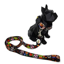 Conjunto coleira e guia para cachorro - Tamanho Pequeno - Modelo Mexicano - 2