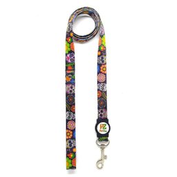 Conjunto coleira e guia para cachorro - Tamanho Pequeno - Modelo Mexicano - 4