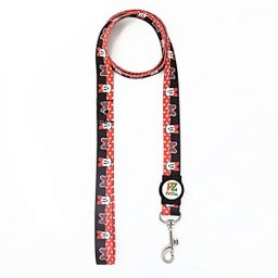 Conjunto coleira e guia para cachorro - Tamanho Grande - Modelo Minnie - 3