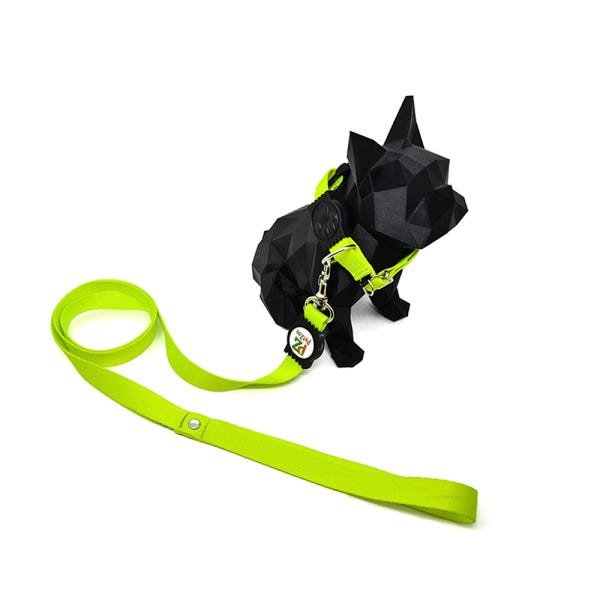 Conjunto coleira e guia para cachorro - Tamanho Pequeno - Modelo Neon - 2