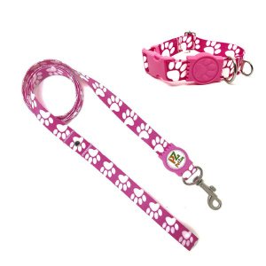 Conjunto Coleira e Guia para Cachorro - Tamanho Médio - Modelo Pata Rosa
