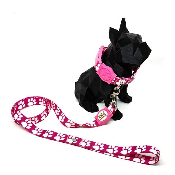 Conjunto Coleira e Guia para Cachorro - Tamanho Grande - Modelo Pata Rosa - 2