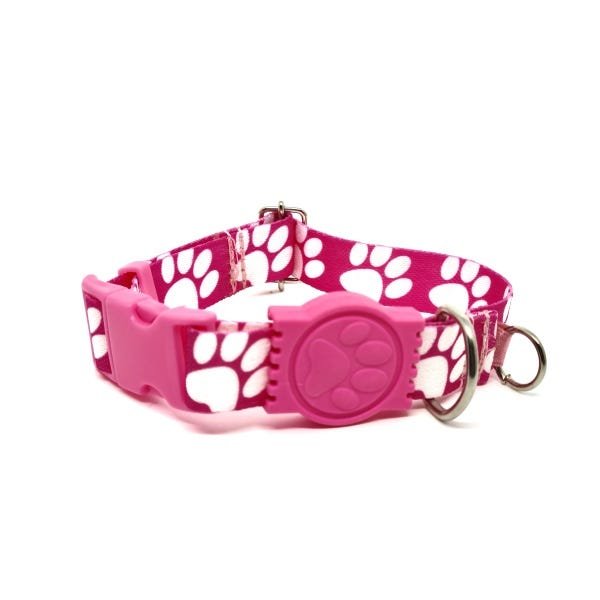 Conjunto Coleira e Guia para Cachorro - Tamanho Grande - Modelo Pata Rosa - 3