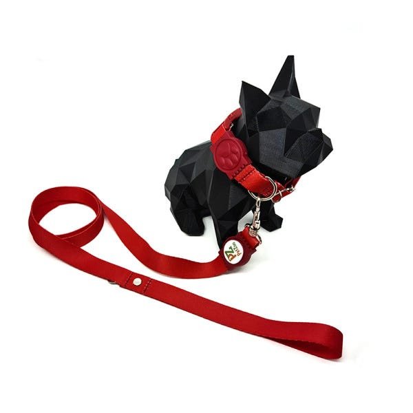Conjunto coleira e guia para cachorro - Tamanho Médio - Modelo Red - 2