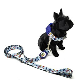 Conjunto coleira e guia para cachorro - Tamanho Pequeno - Modelo Thunder - 2