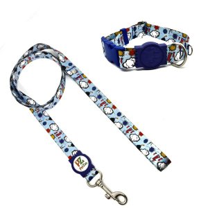 Conjunto coleira e guia para cachorro - Tamanho Pequeno - Modelo Thunder