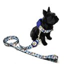 Ver imagem 2 de Conjunto Coleira e Guia para Cachorro - Tamanho Pequeno - Modelo Thunder