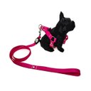 Ver imagem 2 de Conjunto Peitoral, Guia e Cinto para Cachorro - Tamanho Médio - Modelo Pink