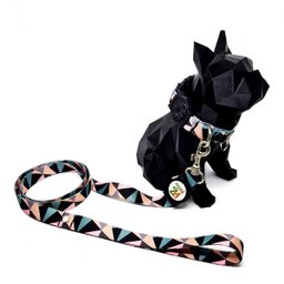 Conjunto coleira, guia e cinto para cachorro - Tamanho Grande - Modelo Abstrata - 2