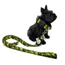 Ver imagem 2 de Conjunto Coleira, Guia e Cinto para Cachorro - Tamanho Pequeno - Modelo Exercito