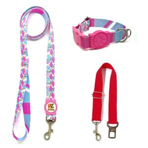 Conjunto coleira, guia e cinto para cachorro - Tamanho Grande - Modelo Flamingo
