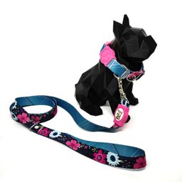 Conjunto coleira, guia e cinto para cachorro - Tamanho Médio - Modelo Garden - 2