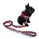 Ver imagem 2 de Conjunto Coleira, Guia e Cinto para Cachorro - Tamanho Grande - Modelo Marinheiro