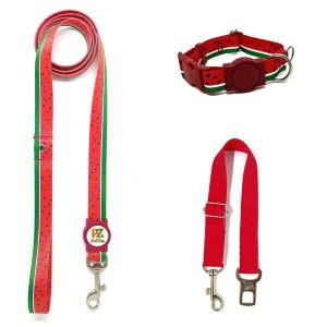 Conjunto coleira, guia e cinto para cachorro - Tamanho Pequeno - Modelo Melancia