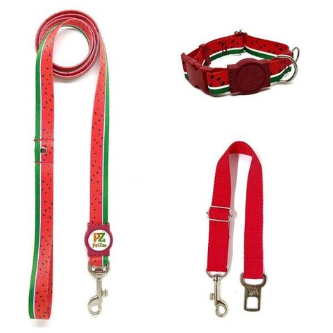 Conjunto Coleira, Guia e Cinto para Cachorro - Tamanho Grande - Modelo Melancia