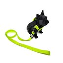 Ver imagem 2 de Conjunto Coleira, Guia e Cinto para Cachorro - Tamanho Grande - Modelo Neon