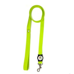 Conjunto coleira, guia e cinto para cachorro - Tamanho Grande - Modelo Neon - 5