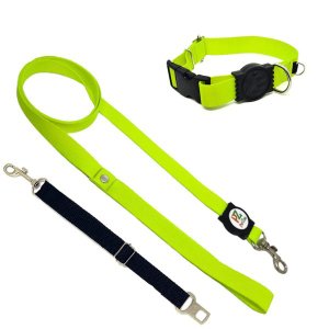 Conjunto coleira, guia e cinto para cachorro - Tamanho Grande - Modelo Neon