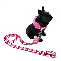Conjunto Coleira, Guia e Cinto para Cachorro - Tamanho Médio - Modelo Pata Rosa - 2