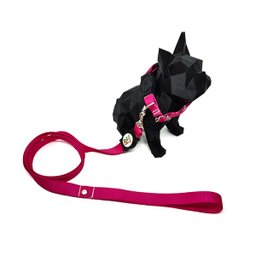Conjunto coleira, guia e cinto para cachorro - Tamanho Médio - Modelo Pink - 2